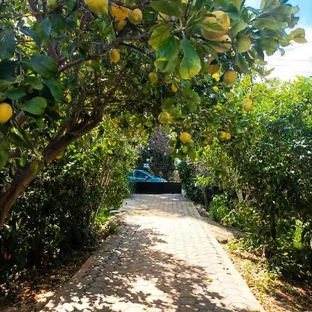 Jutta's House Σπίτι διακοπών Καλλιθέα