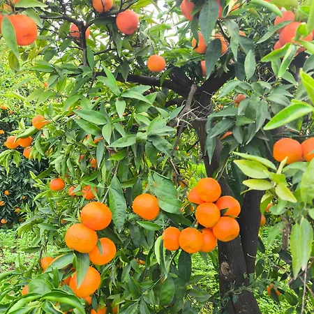 Jutta's House Σπίτι διακοπών Καλλιθέα