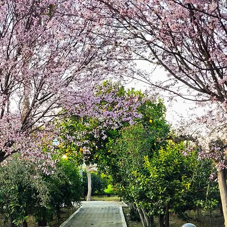 Holiday home Jutta's House