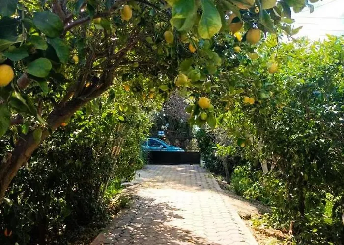 Jutta's House Holiday home Kallithea (Argolis)