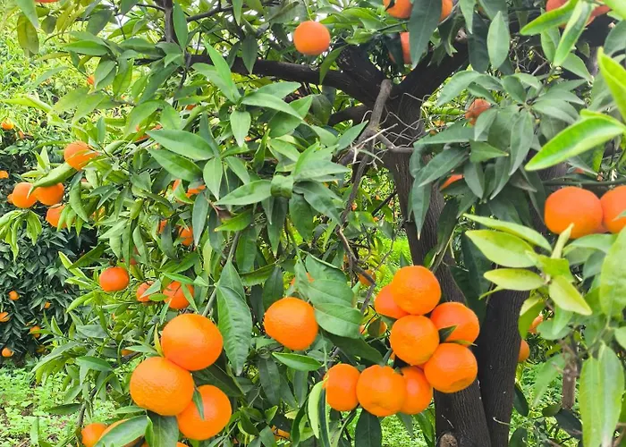 Jutta's House 度假居 Mourátagas