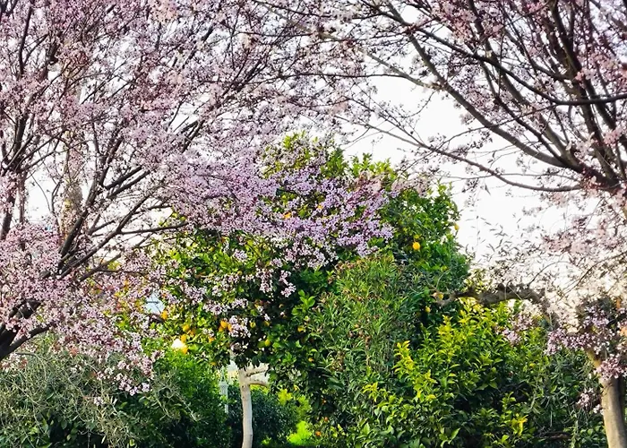 Holiday home Jutta's House